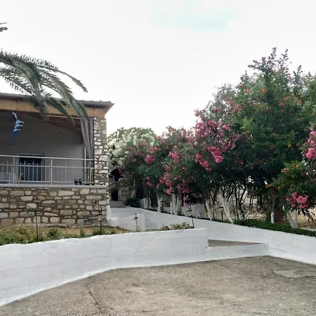 Nyaraló Palm *