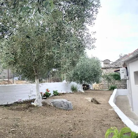 Palm Tatil Evi *